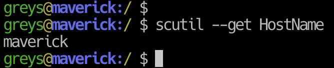 scutil