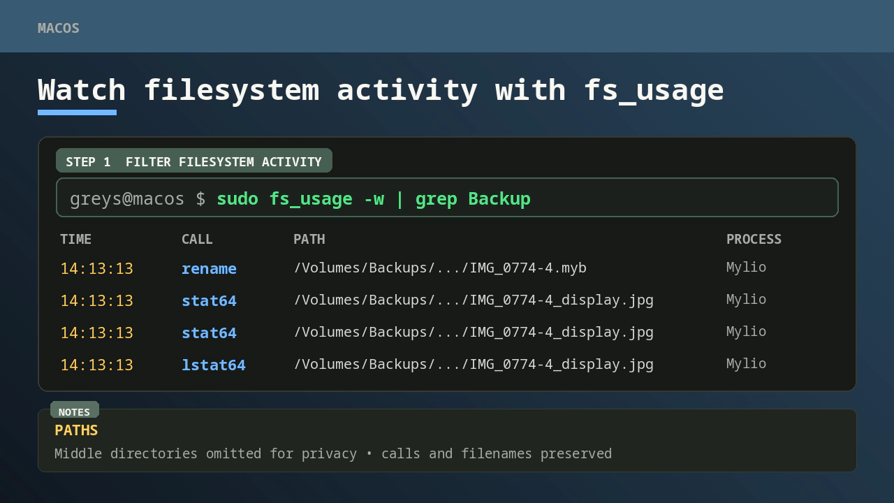 The macOS fs_usage command showing filtered filesystem activity