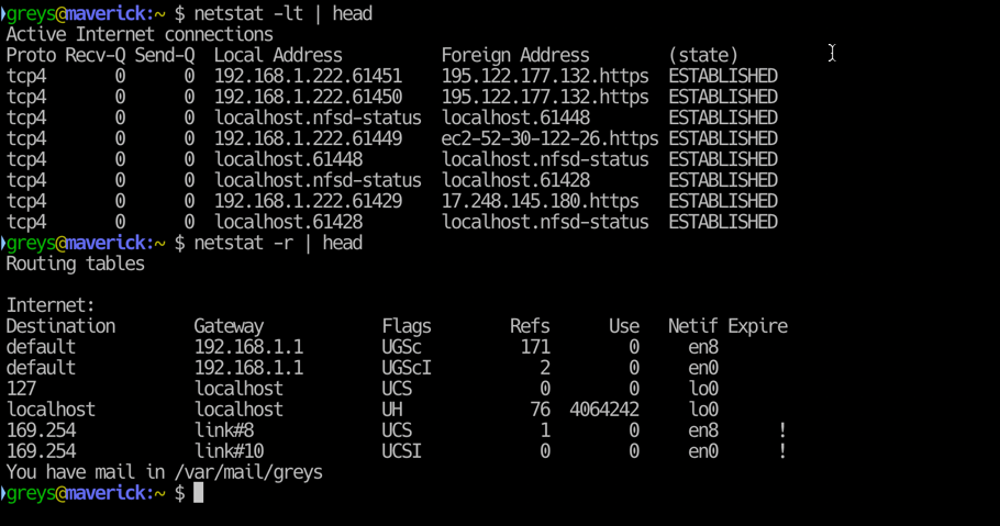 netstat in mac