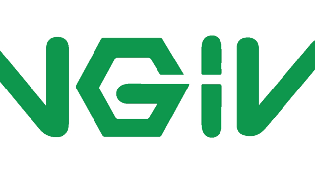 nginx web-server
